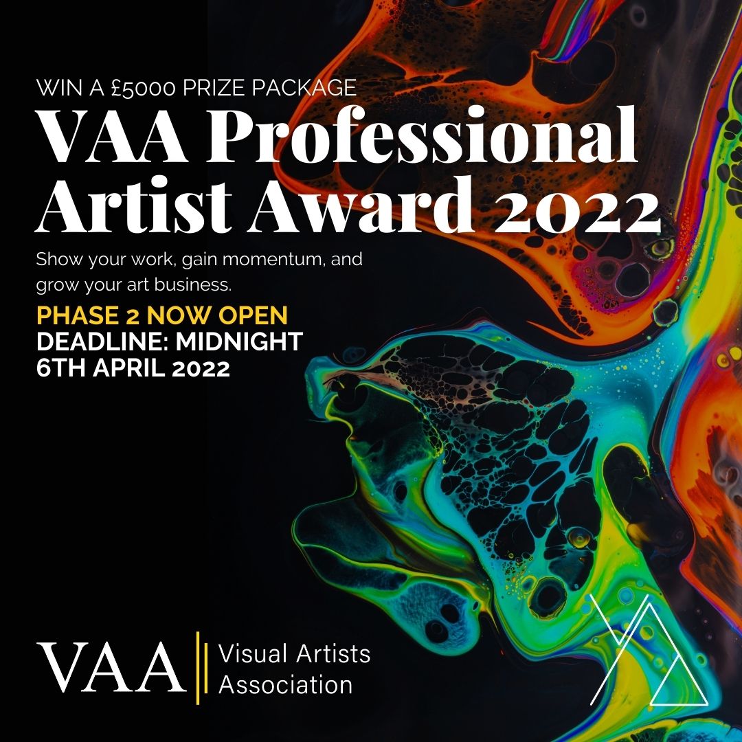 VAA Professional Artist Award